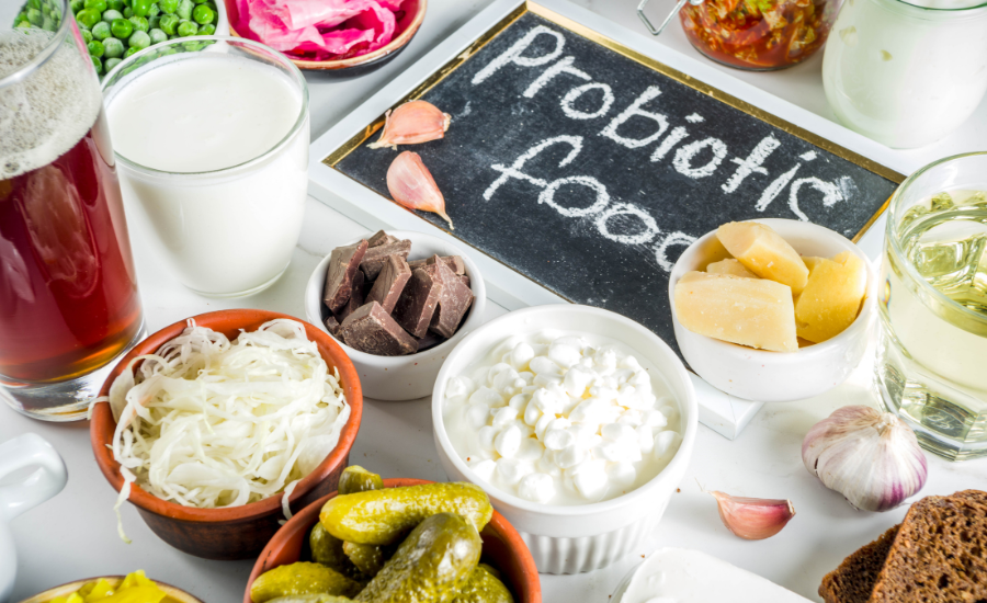 Probióticos e Saúde Intestinal