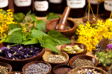 plantas medicinais
