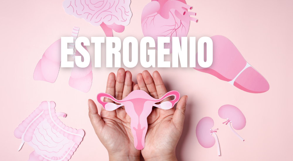 Estrogênio e a Produção de Líquido Sinovial Estrogênio e a Produção de Líquido Sinovial